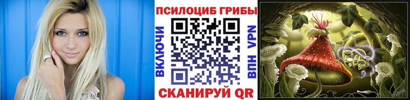 где продают наркотики блэк спрут рабочий сайт Галлюциногенные грибы GOLDEN TEACHER Суровикино