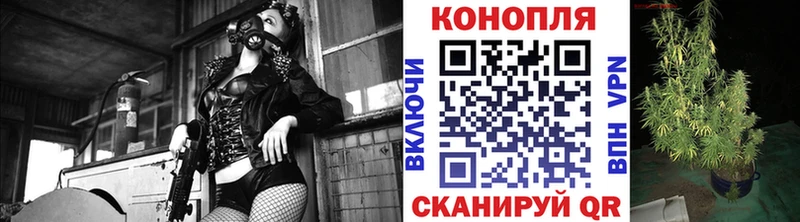 Шишки марихуана Amnesia  shop какой сайт  Суровикино  цена наркотик 